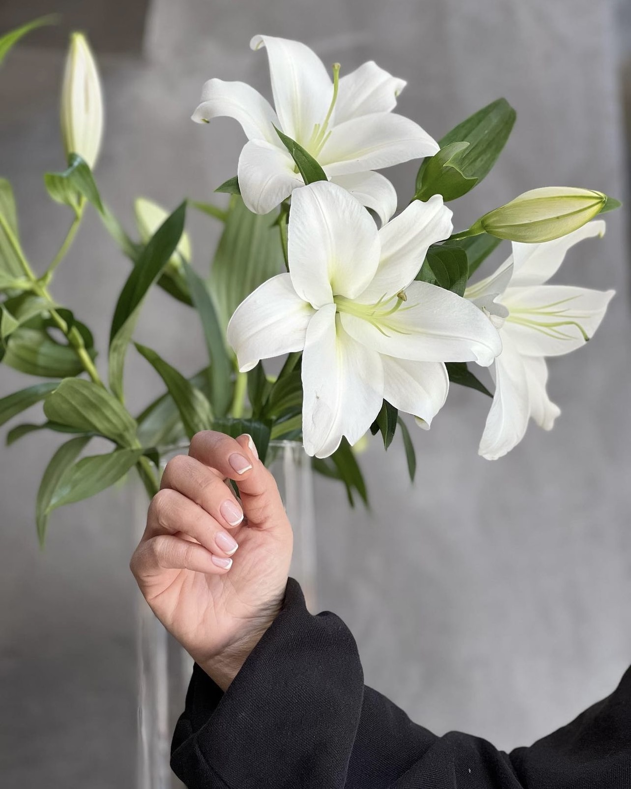 Βάζο με λευκά lilium και ένα γυναικείο χέρι με κομψό γαλλικό μανικιούρ